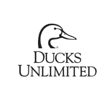 506017_1641491283007_duverticalklowres1021201633305pm