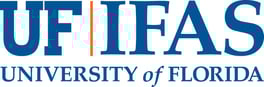 University of Florida